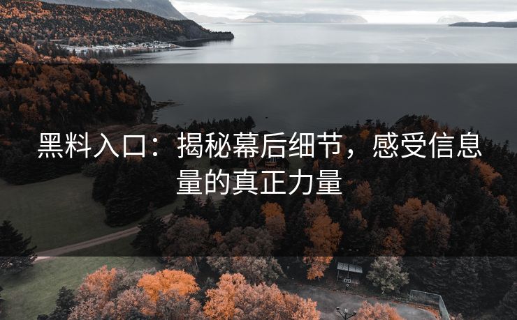 黑料入口：揭秘幕后细节，感受信息量的真正力量